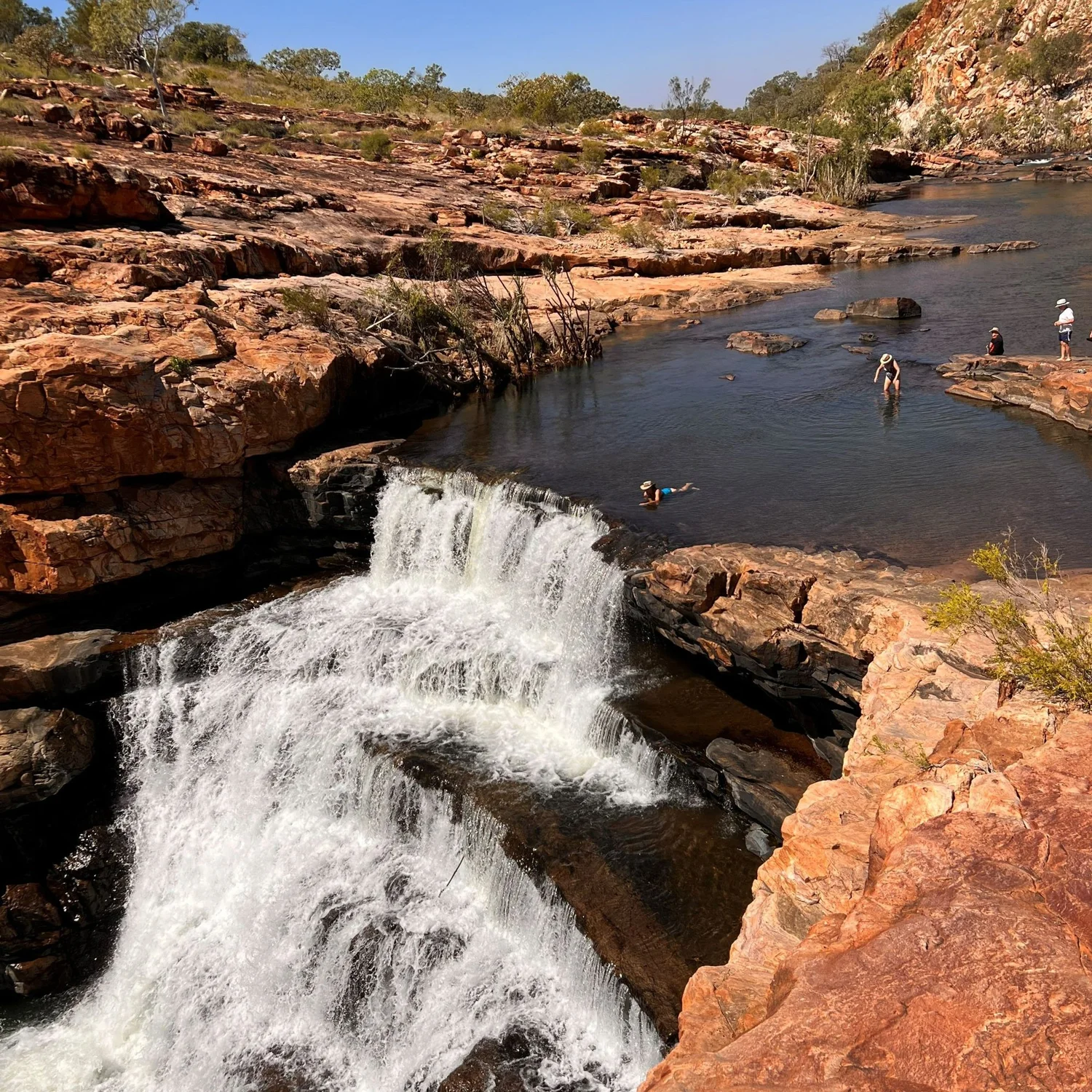 Dalmanyi (Bell Gorge)