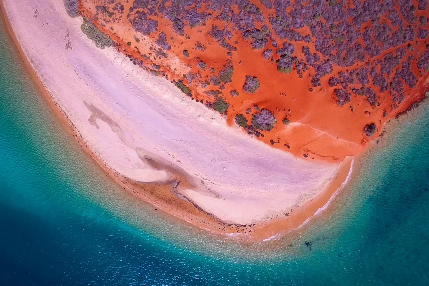 Desert Meets the Sea - Shark Bay