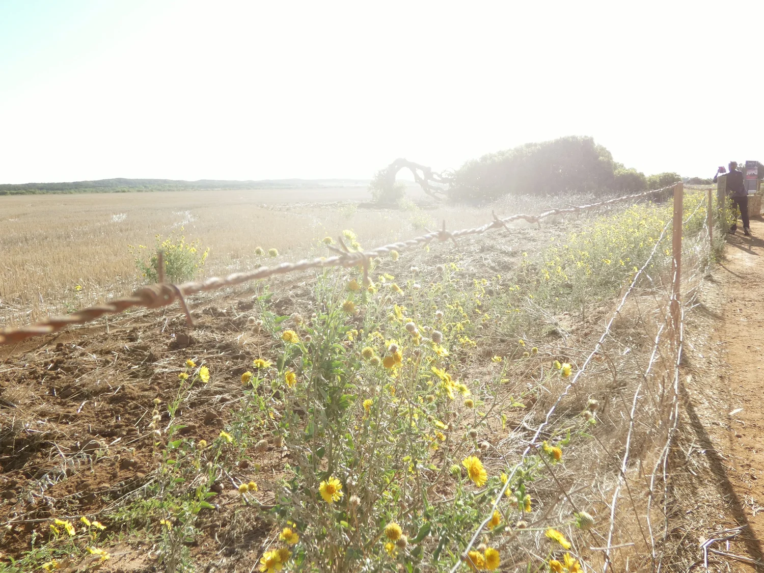 Western Australia landscapes