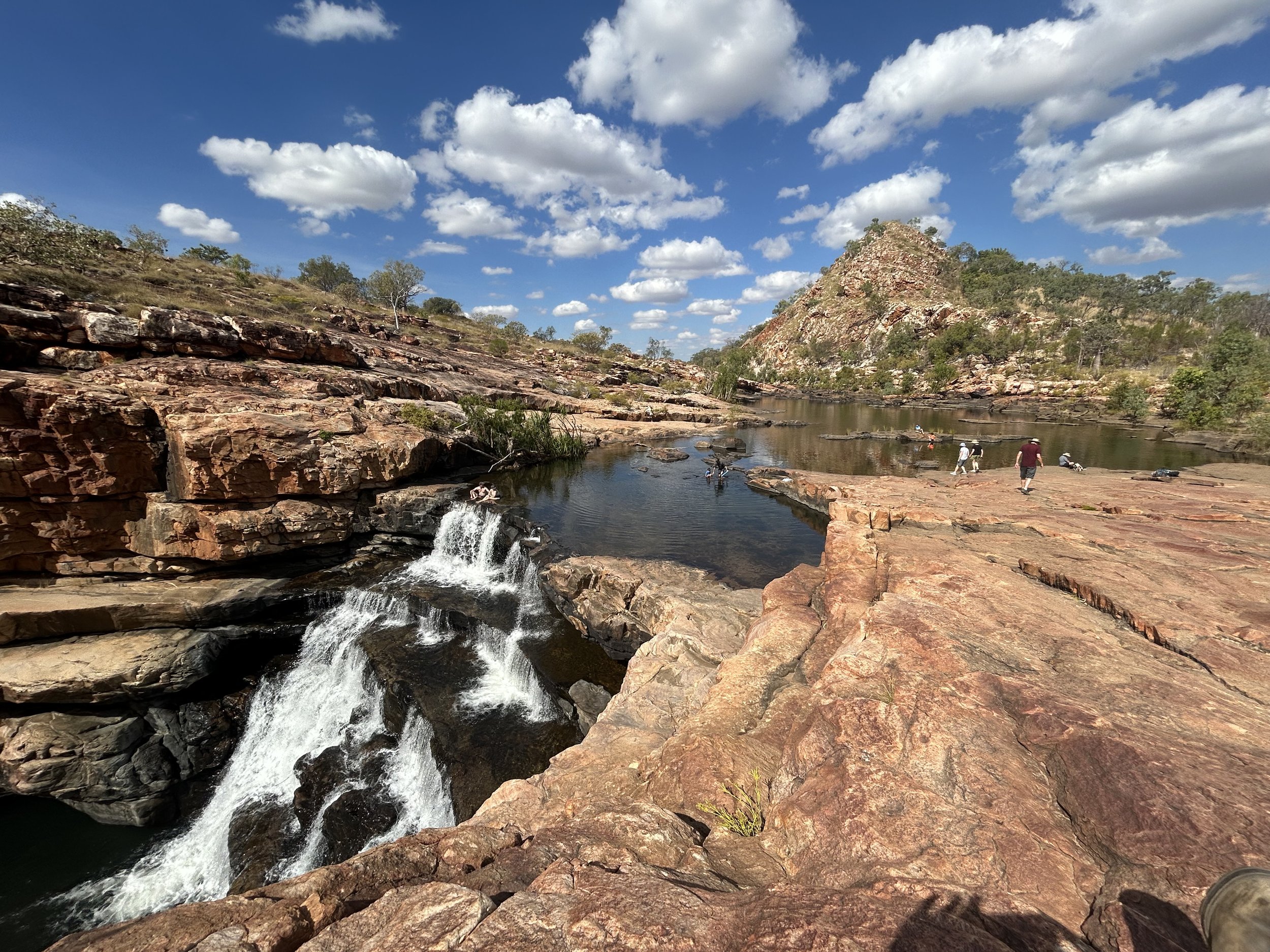 Dalmanyi (Bell Gorge)