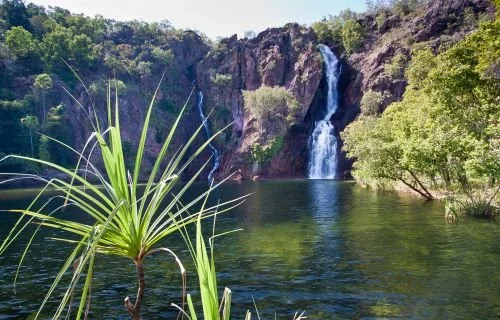 Florence Falls - Litchfield National Park