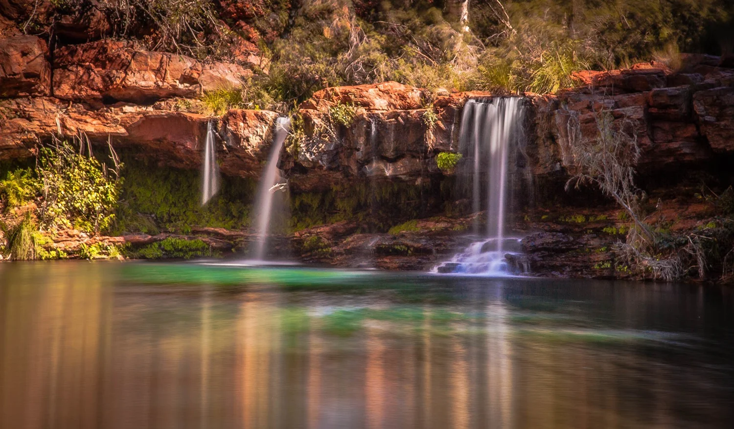 Fern Pool - Karijini National Park