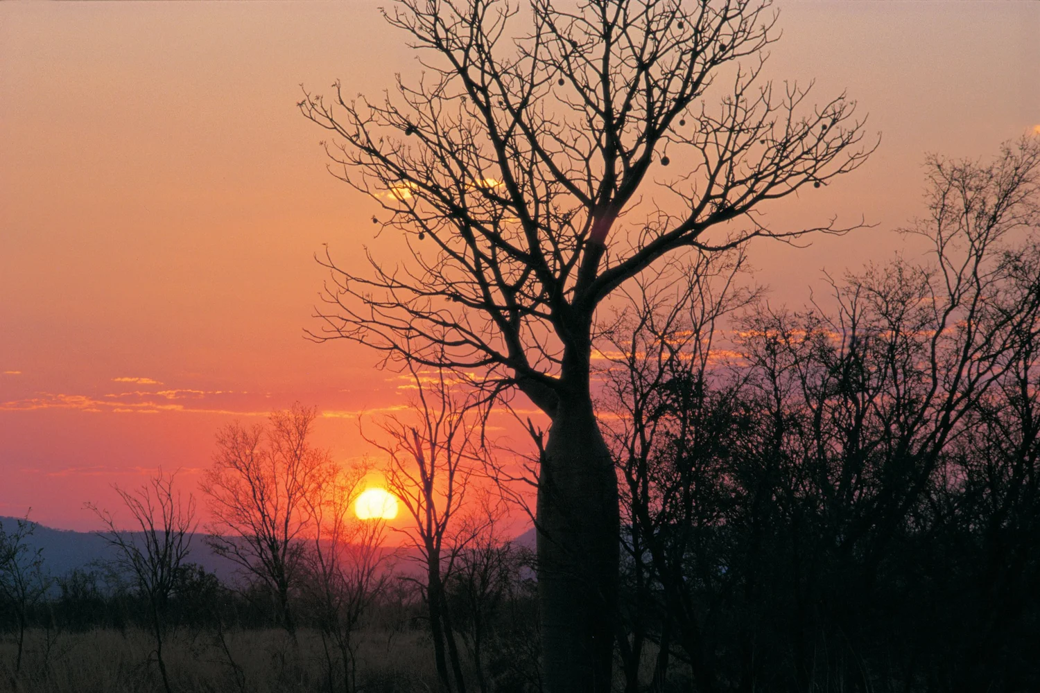 Kimberley tour experience