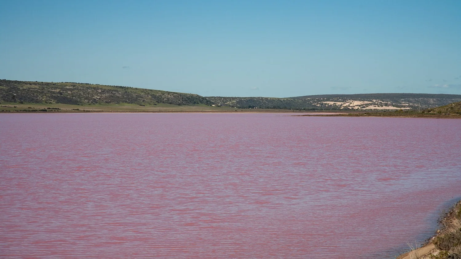 Hutt Lagoon - Port Gregory