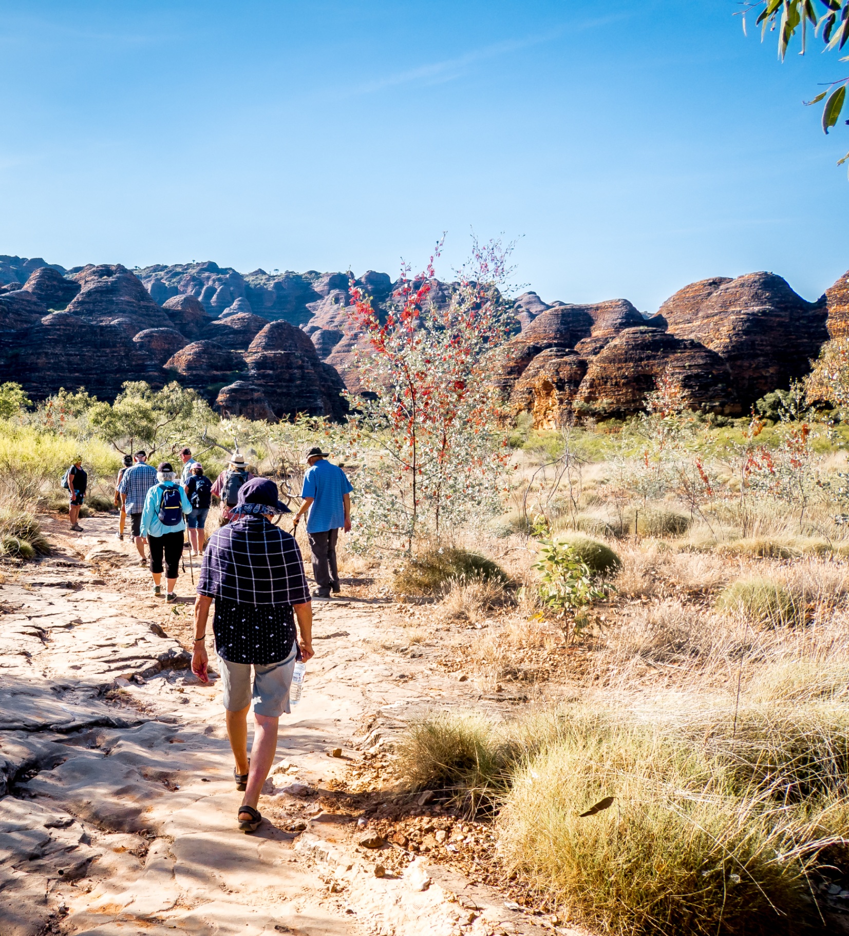 Walking among the beehive domes of the Bungle Bungles