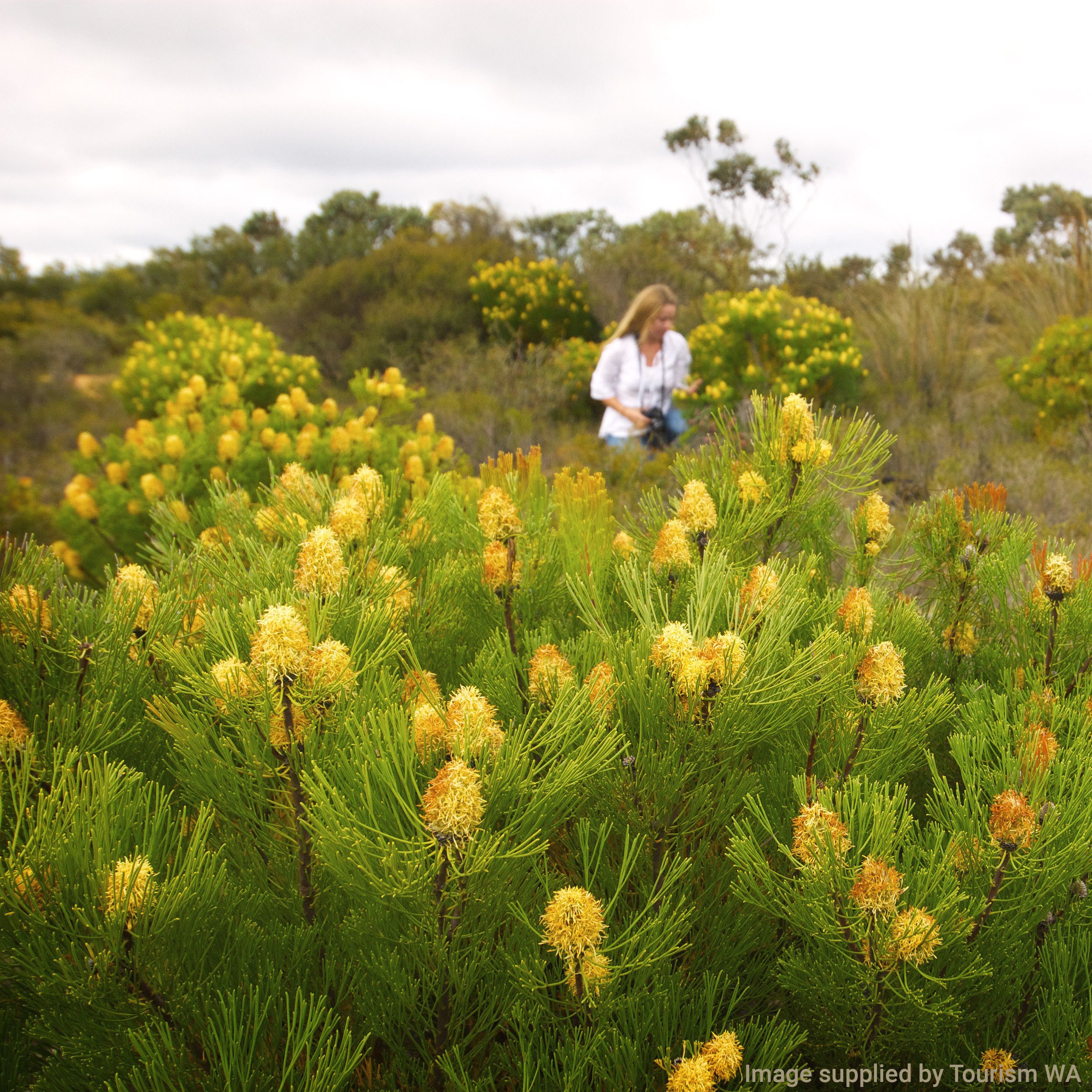 Fitzgerald River National Park