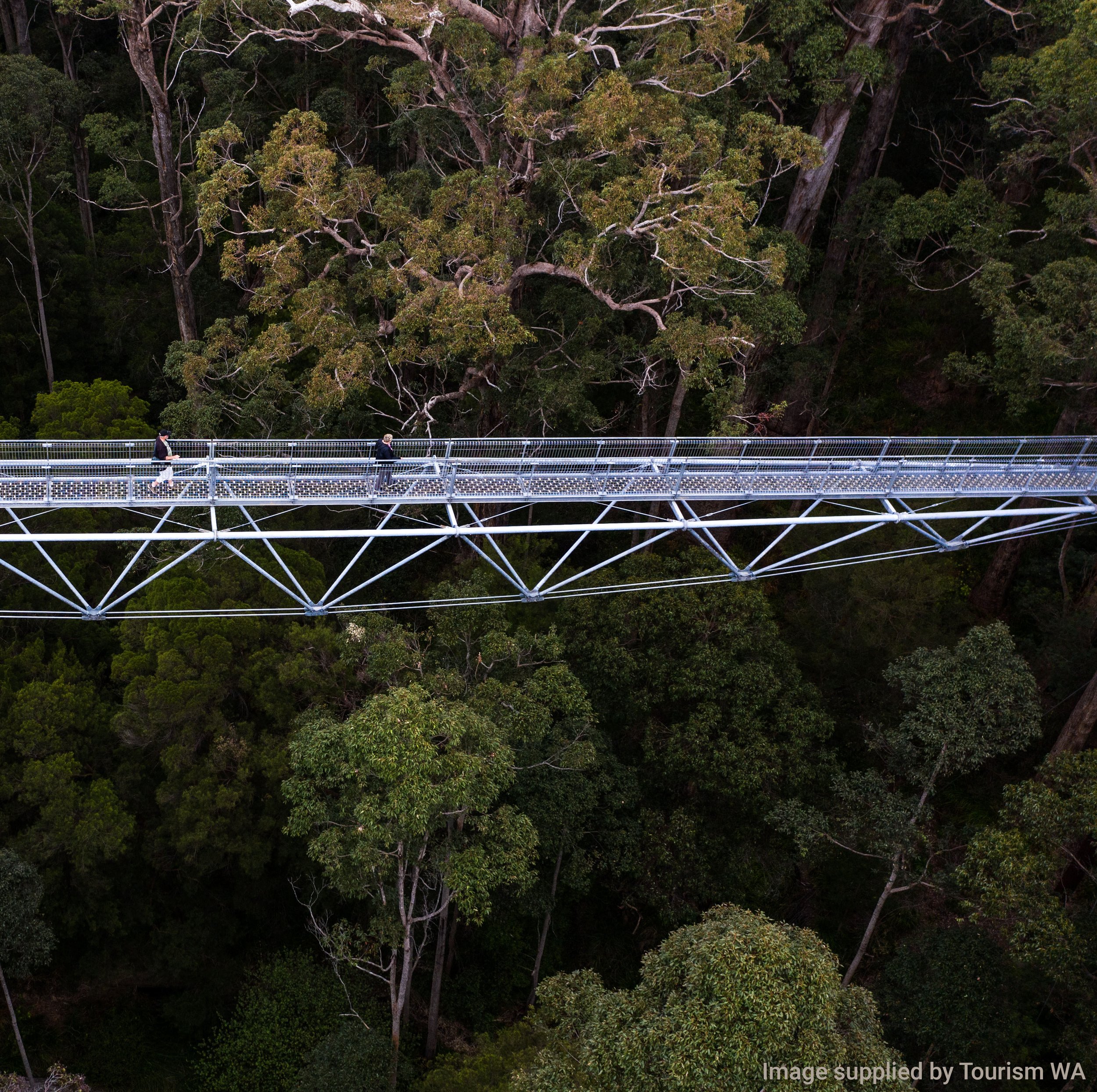 South West Discovery Tour — photo 14