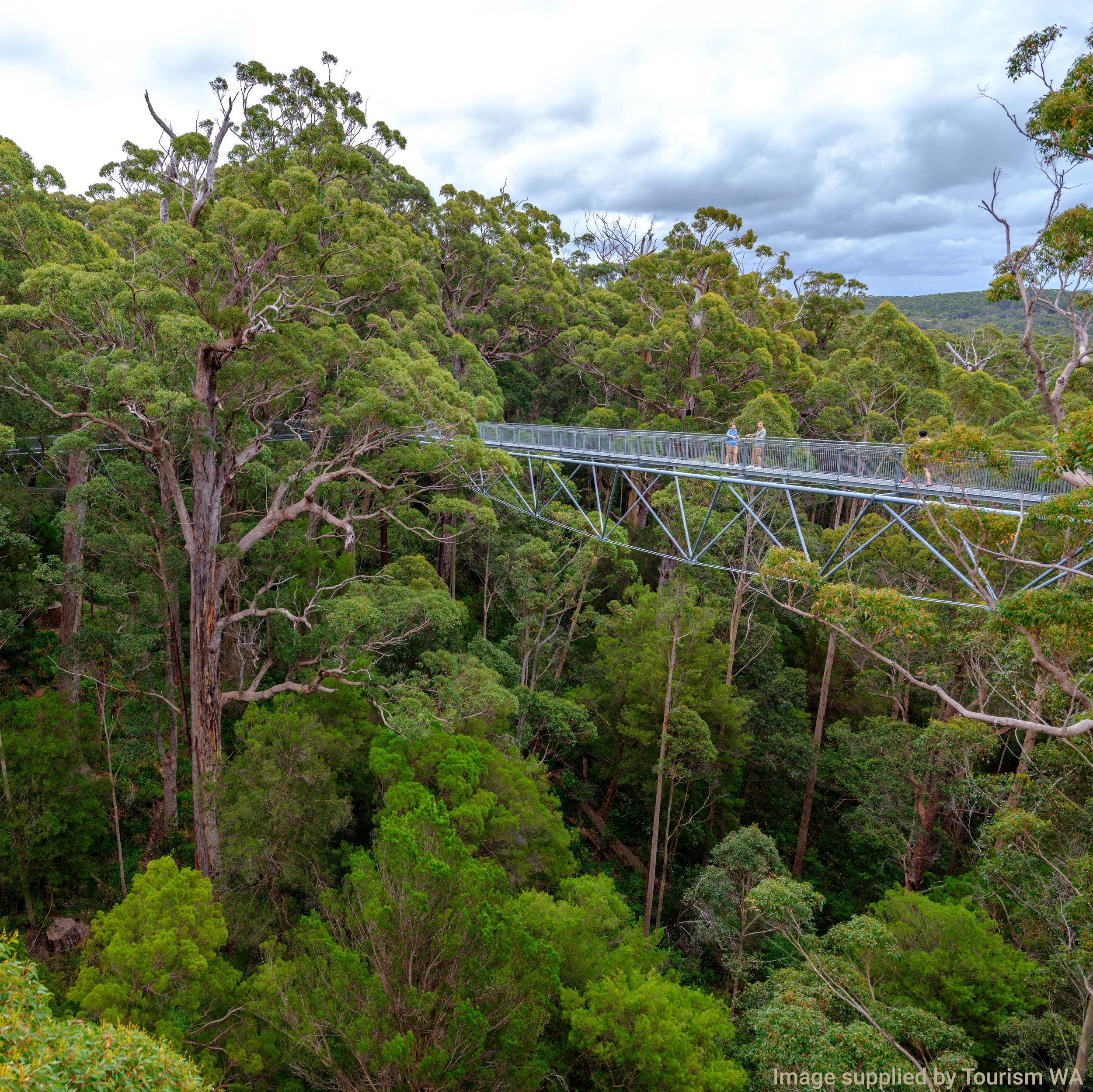 South West Discovery Tour — photo 15