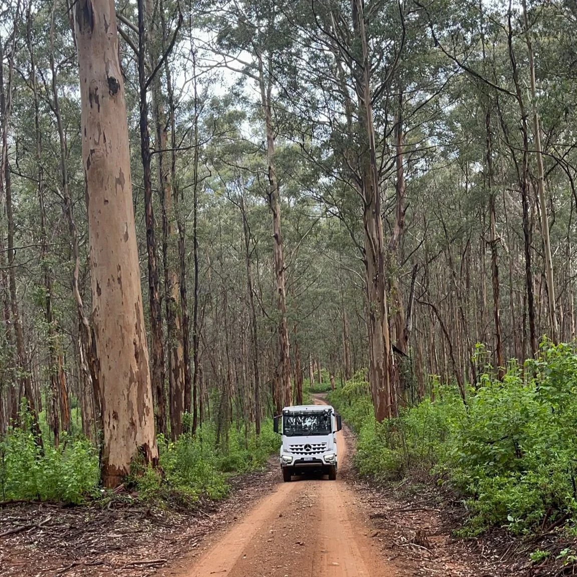 South West Discovery Tour — photo 19