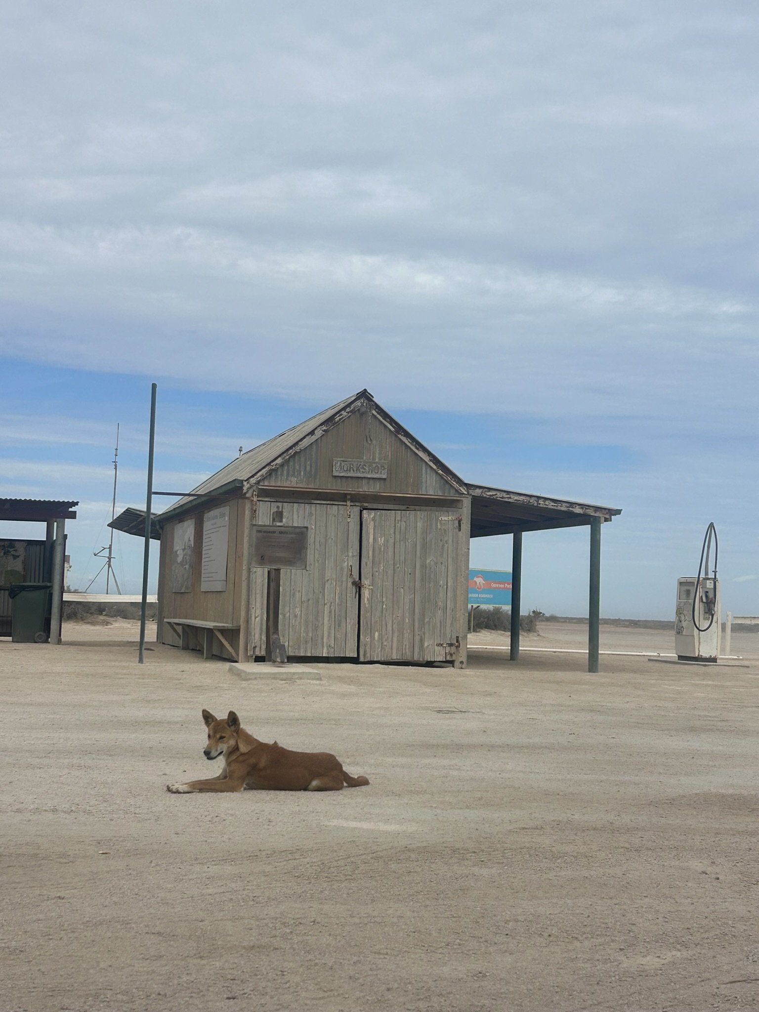 Streaky Bay