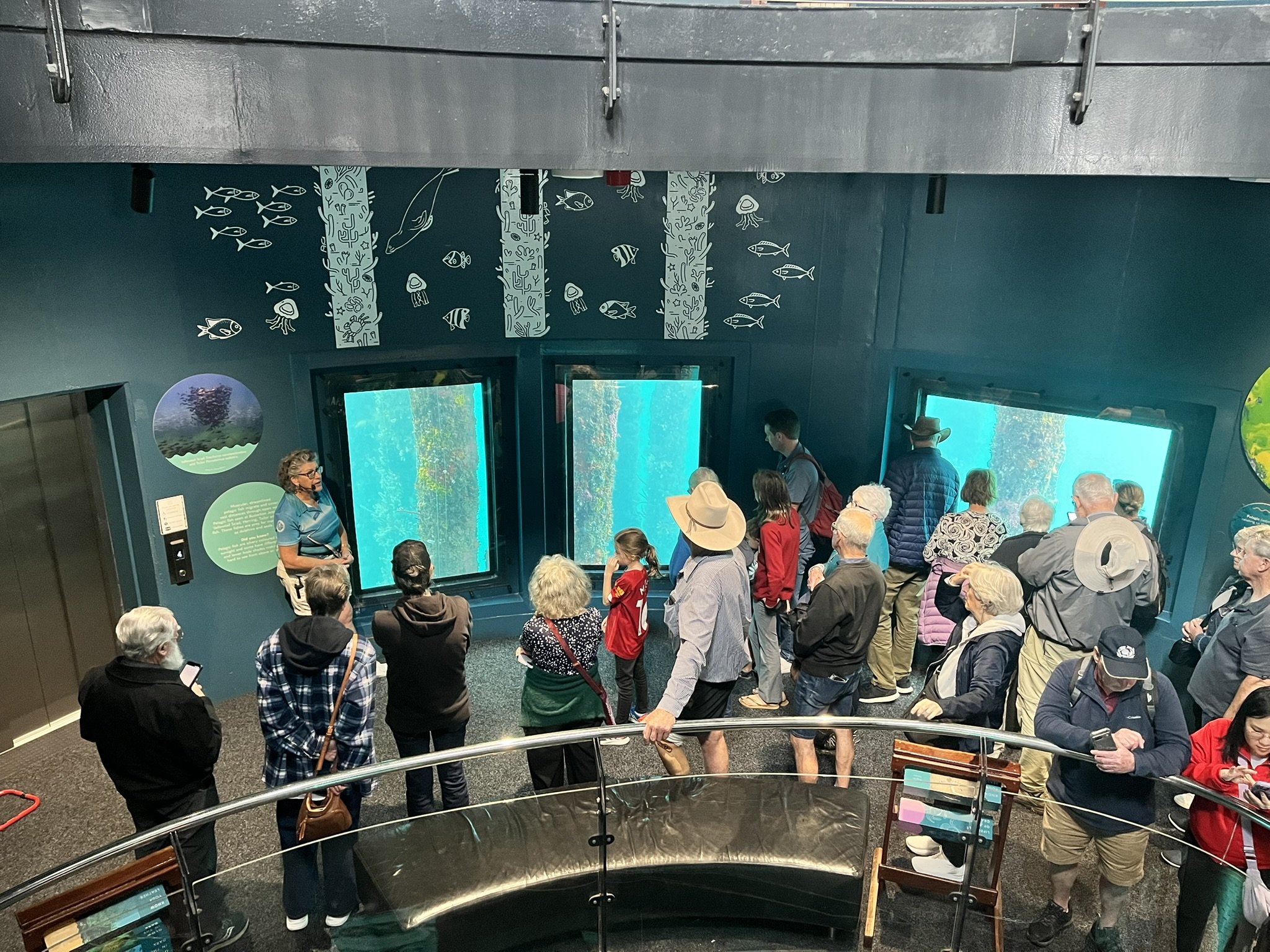 South West Discovery Tour — photo 24