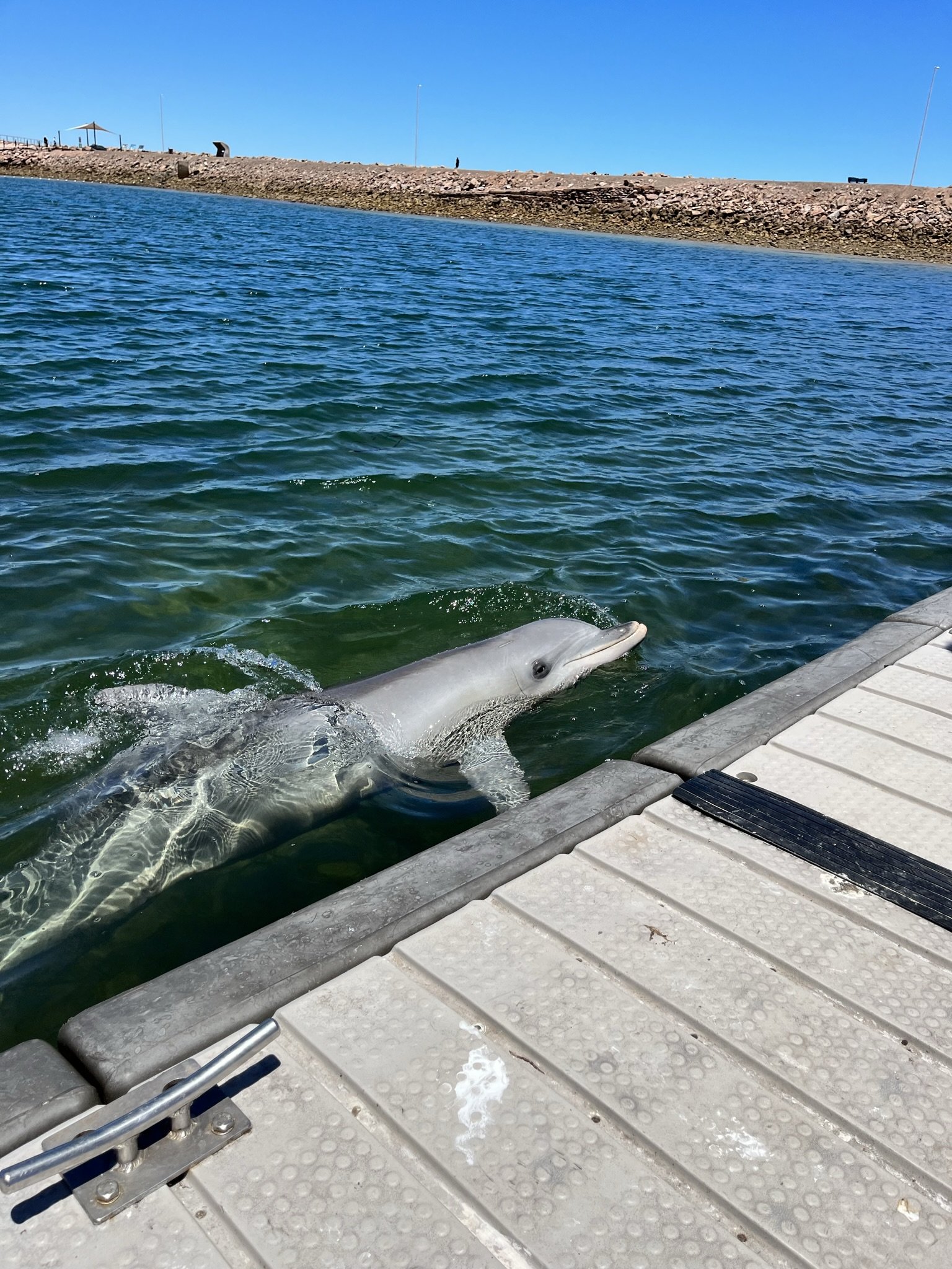 Nullarbor and Southern Ocean Tour — photo 30